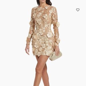 Bronx and Banco Bouquet Maraya Floral Minidress